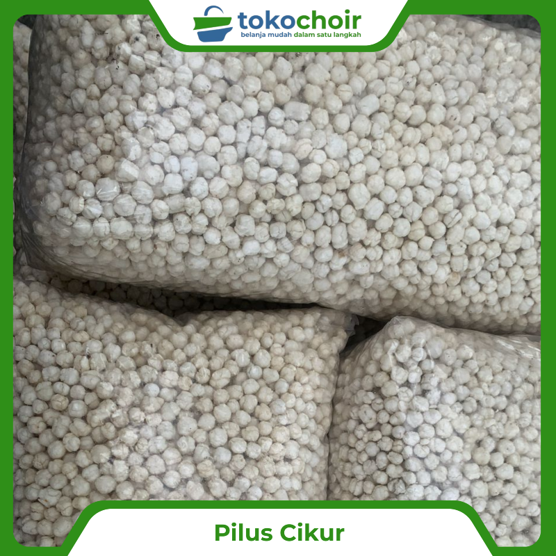 Pilus Cikur