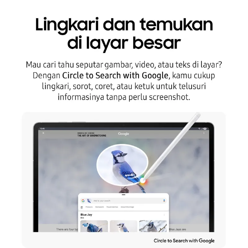 Samsung Galaxy Tab S10 FE+ [256 Wifi] & [256]