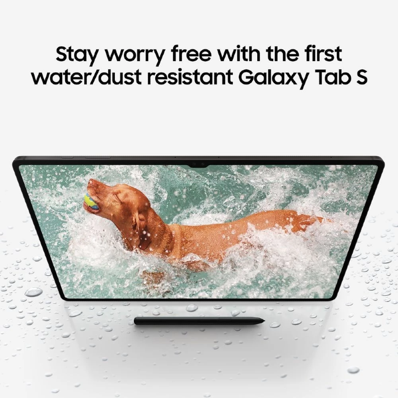 Samsung Galaxy Tab S9+ [256] 