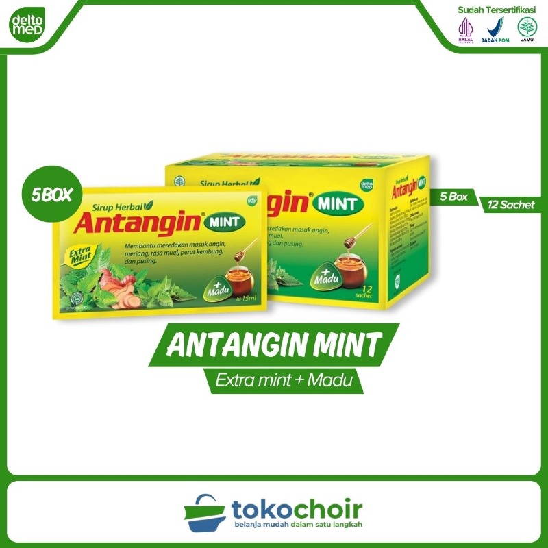 Antangin Mint (5 Box x 12 Sachet x 15ml)