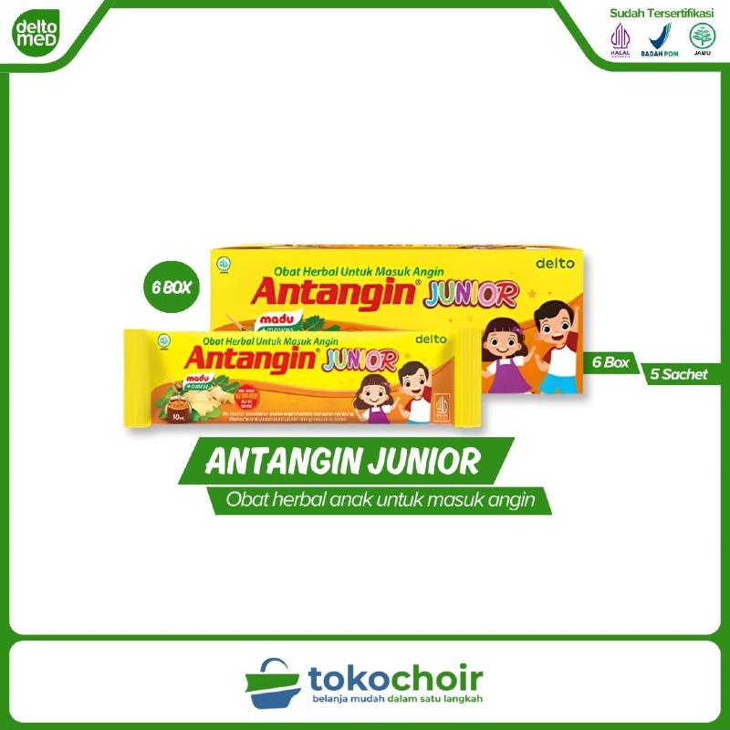 Antangin Junior (6 Box x 5 Sachet x 10ml)