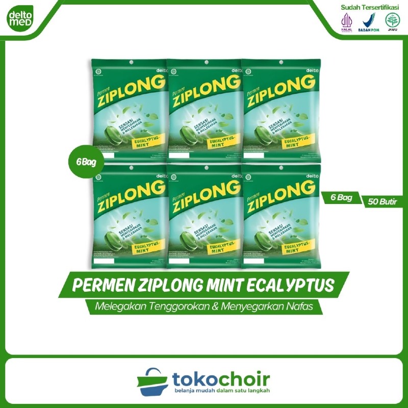 Permen Ziplong Mint Ecalyptus (6 Bag x 50 Butir x 100gr)